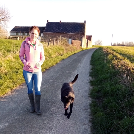 Promenade avec le chien
