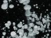 Bulles de méthane piégées dans rivière gelée