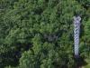 MOFLUX site avec tour de 32 m surplombant une forêt dans l'État du Missouri