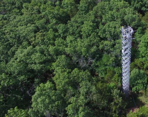 MOFLUX site avec tour de 32 m surplombant une forêt dans l'État du Missouri