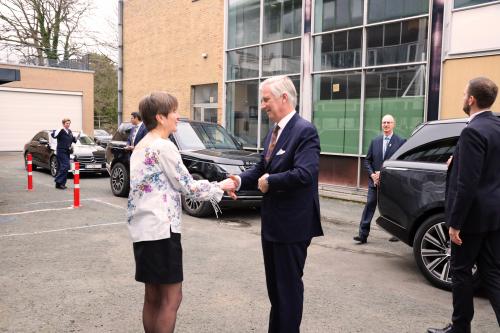 Martine De Mazière shaking hands with King Philippe of Belgium