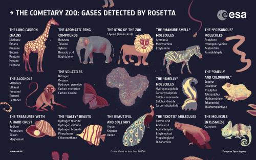 Molecules gedetecteerd in Chury’s atmosfeer, weergegeven als dieren