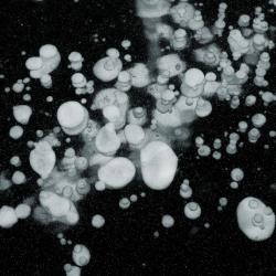 Bulles de méthane piégées dans rivière gelée