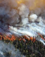 Emissions d'acide nitreux (HONO) feux de forêt 
